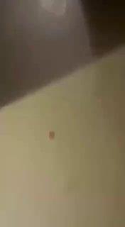 Нах*й ты ему нож в глаз воткнула?! Он сказал, что я у тебя сосала ху* В...