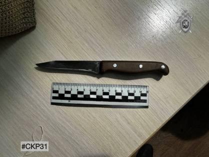 Шебекинский округ: завершено расследование покушения на убийство