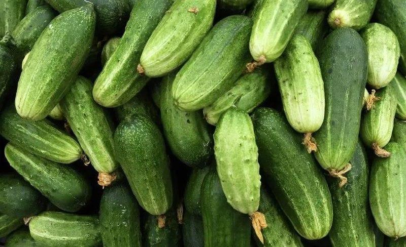 Студента из Москвы экстренно госпитализировали с 20-сантиметровым огурцом в заднем проходе.