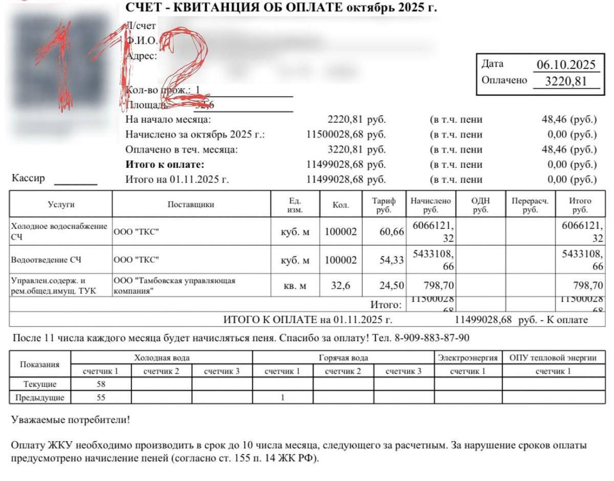 Жительница Амурской области получила счёт за воду почти на 11,5 млн рублей