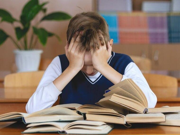 В России предложили сократить летние школьные каникулы на месяц