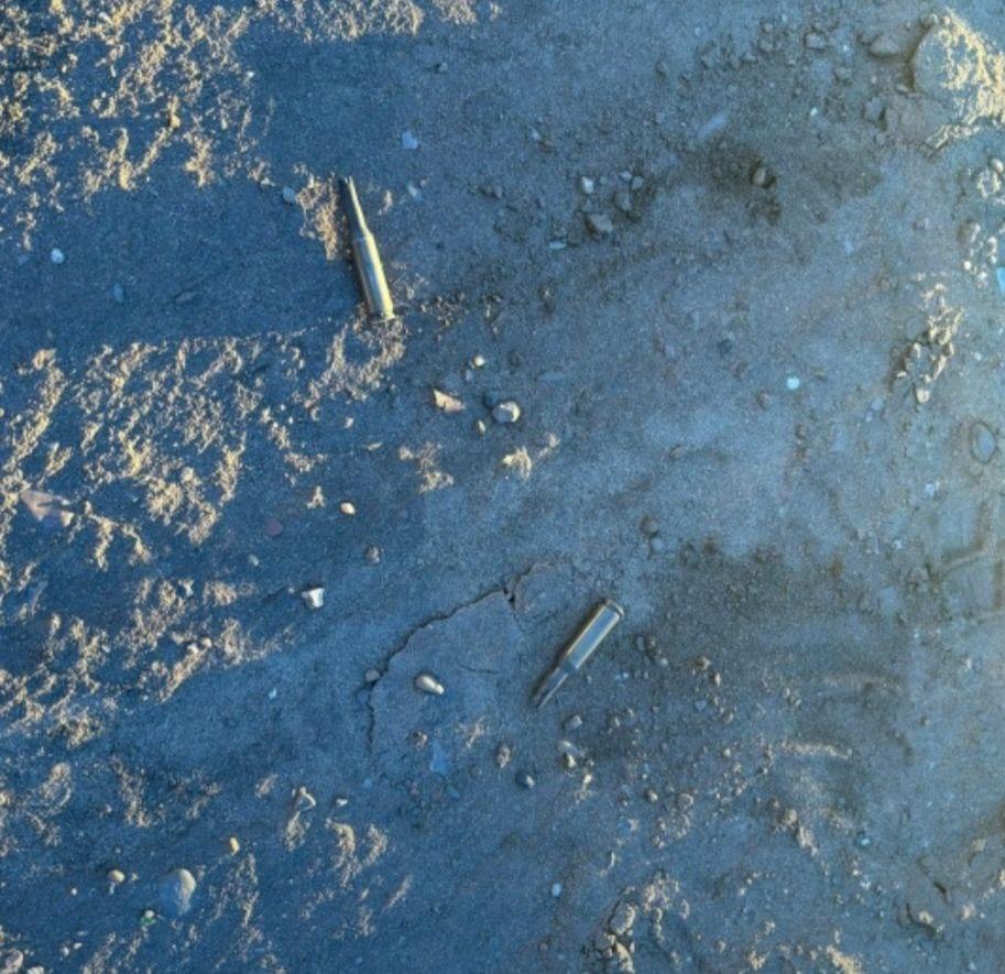 В Новосибирске на пляже неизвестные устроили стрельбу. По словам очевидцев,...