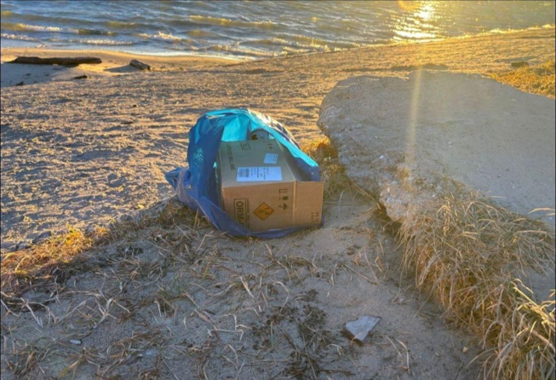 В Новосибирске на пляже неизвестные устроили стрельбу. По словам очевидцев,...