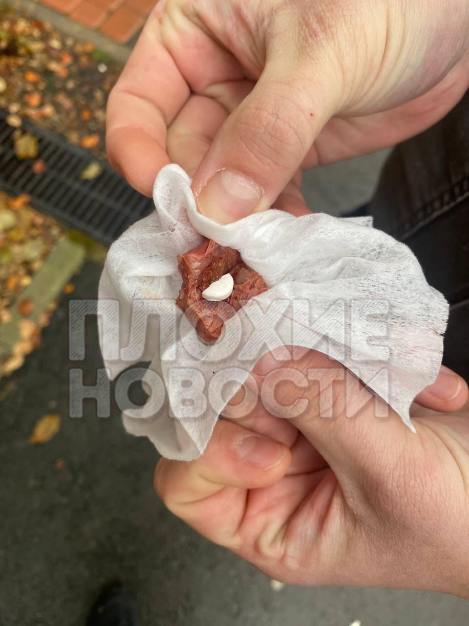 Екатеринбуржцы обвиняют соседку в отравлении домашних питомцев и заявляют,...