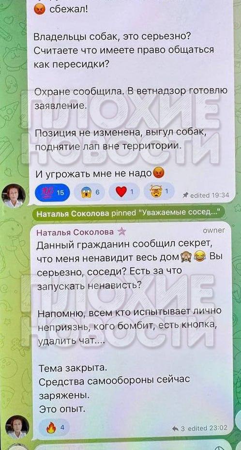 Екатеринбуржцы обвиняют соседку в отравлении домашних питомцев и заявляют,...