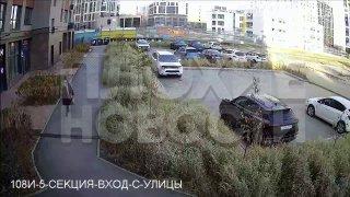 Екатеринбуржцы обвиняют соседку в отравлении домашних питомцев и заявляют,...
