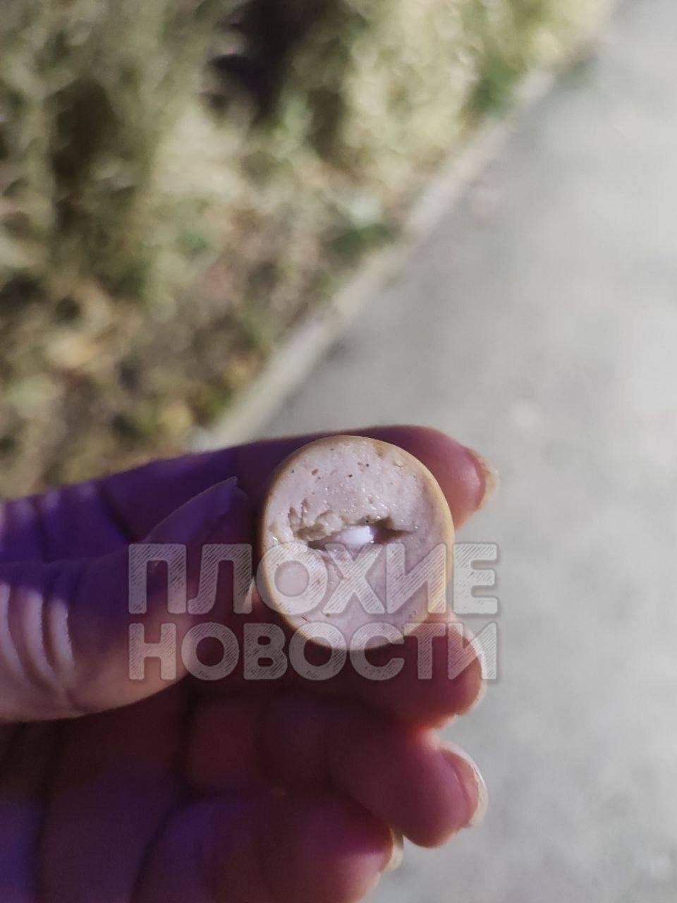 Екатеринбуржцы обвиняют соседку в отравлении домашних питомцев и заявляют,...