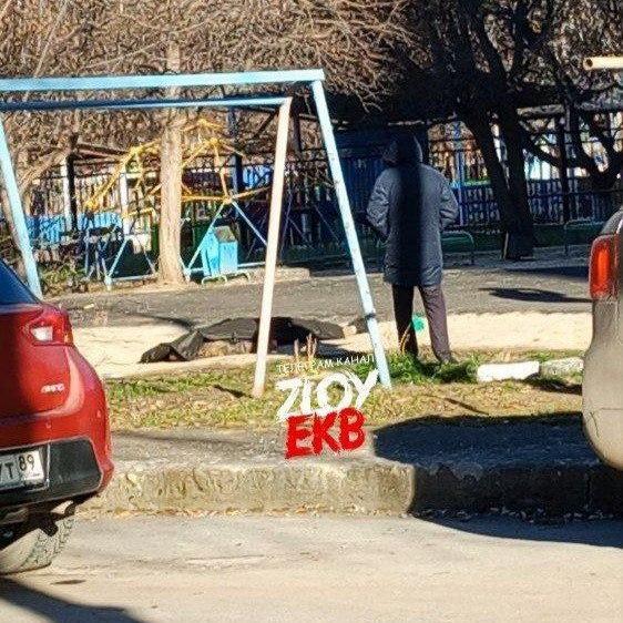 Труп обнаружили на бульваре Денисова-Уральского в Екатеринбурге 🇷🇺 Источник:...