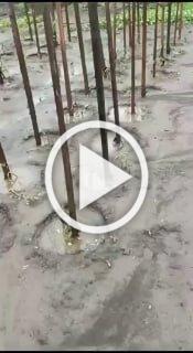 «Это были помидоры, это была когда-то картошка», — жители...