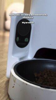 Парень случайно позвонил девушке на...умную кормушку для кота — диалог получился максимально странным.