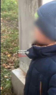 В Нижнем Новгороде мальчик жестко расправился с птицей во дворе многоэтажки....