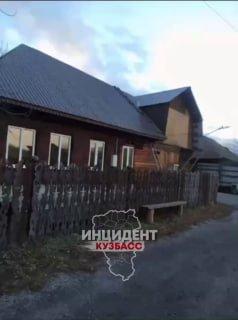 «Здоровый такой, бегает по улицам, срочно предупредите всех!!»: