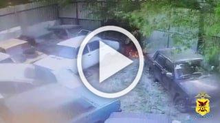 Шесть машин сгорели из-за подожженного тополиного пуха в Чите, сообщили в пресс-службе УМВД по Забайкальскому краю