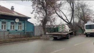 Грузовик въехал в дерево на Проезжей. Там собирается большая пробка. По...