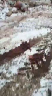 «Вот это завтра всё будет в колбасе-хуесе»