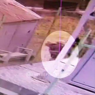 В садах под Екатеринбургом разгорелся серьезный конфликт По данным канала «4...