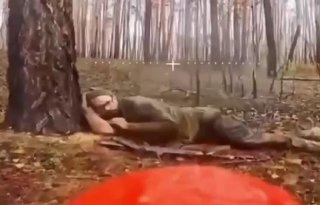 Xoxoл спал под деревом, как вдруг его навестил наш дрон на оптоволокне.