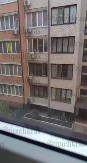 В Краснодаре жительница нестандартным образом воспитывала свою кошку