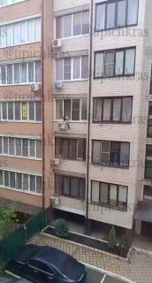 В Краснодаре жительница нестандартным образом воспитывала свою кошку