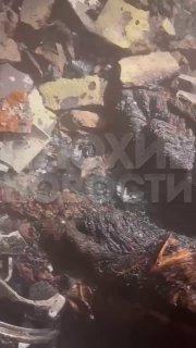 В Дагестане мужчина решил покончить с собой и чуть не сжег всю многоэтажку с...