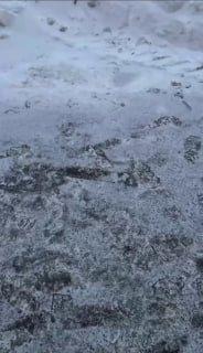 На Красина водитель автобуса сбил бабушку