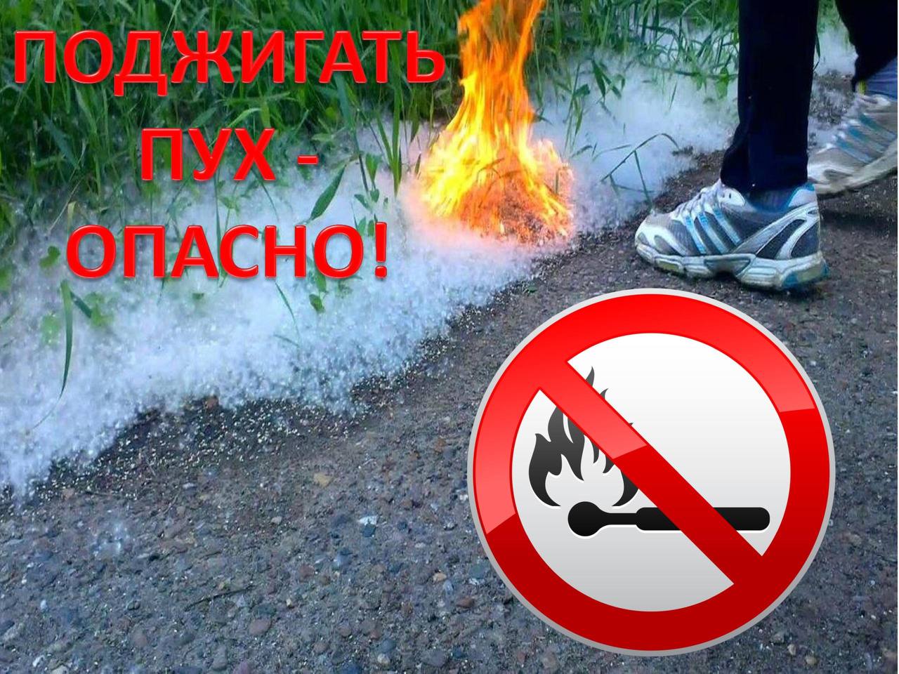 ОСОБЫЙ