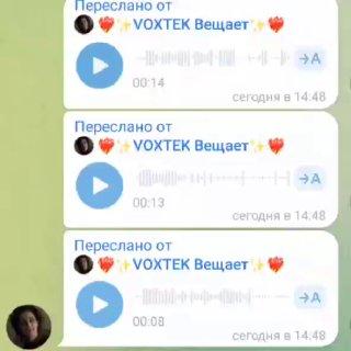 ❗«Мы осквернили сразу трех!»: в Питере блогерша призналась в надругательстве над семейным захоронением