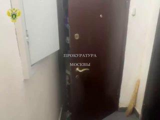 Жительница Москвы превратила свою квартиру в свалку и содержала там девять невакцинированных кошек.