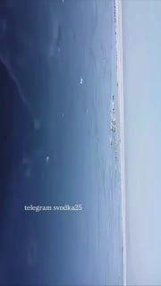 🦭Во Владивостоке на Маяке записали шикарное видео с ларгами, которые в...