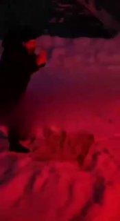 ⚡️⚡️«Впусти наших женщин в автобус? Зачем так поступаешь?» В Нижневартовске...