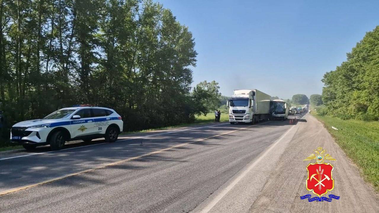 В Кузбассе на территории Топкинского муниципального...