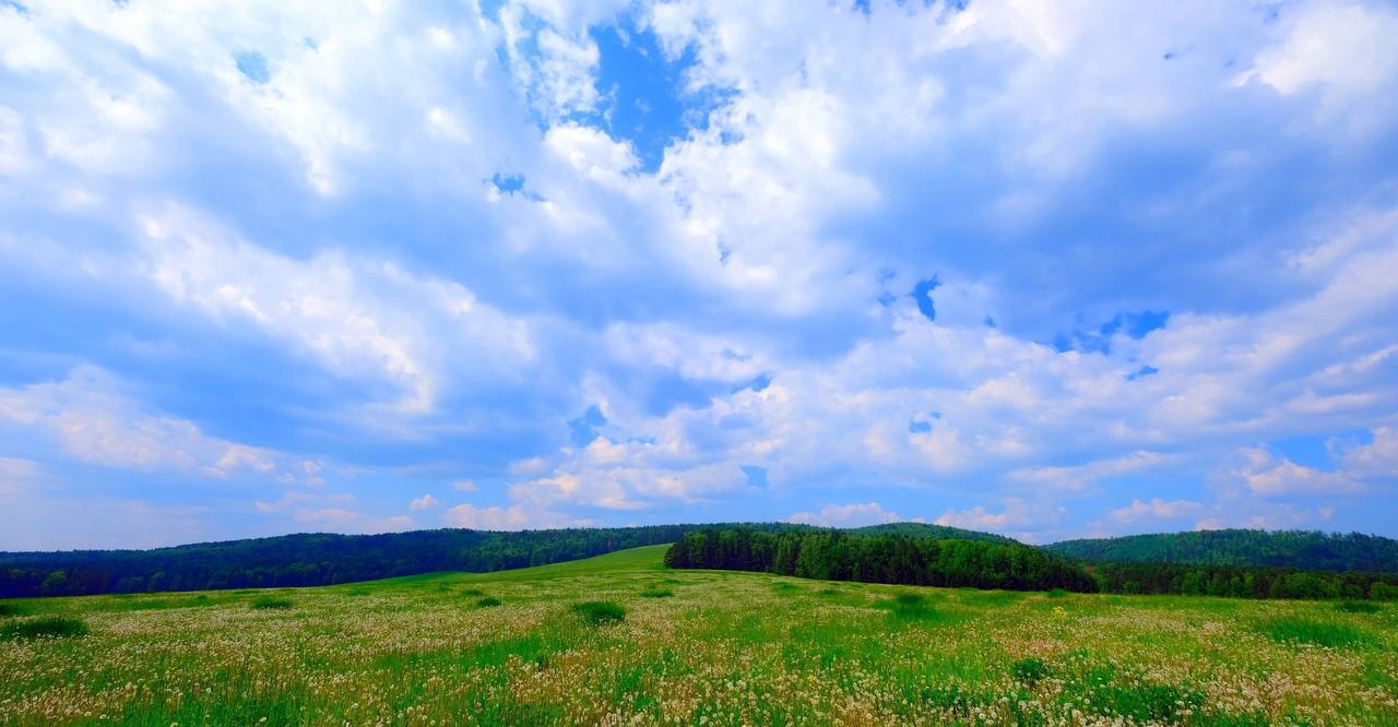 В ближайшие дни в крае сохранится жара ☀️ В центральных и...