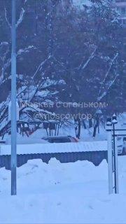 В районе Тропарёво-Никулино заметили закаленного спортсмена 🇷🇺 Источник: ЧП...