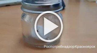 В крае снижается активность клещей За прошлую...