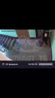 В Ленобласти шизик ежедневно проклинает соседскую семью на протяжении двух лет.
