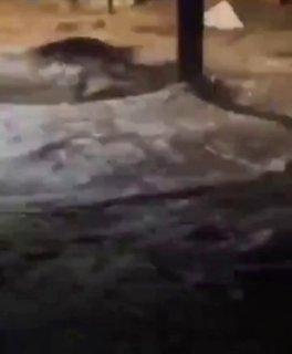 Гробы проплыли по улицам бразильского города Уба, на который обрушились сильные дожди, — СМИ