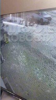 Два алабая-убийцы на самовыгуле терроризируют микрорайон в Хабаровске