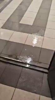 На Гаврилина 13, опасаться дождя надо не только на улице, но и в парадной 🇷🇺...